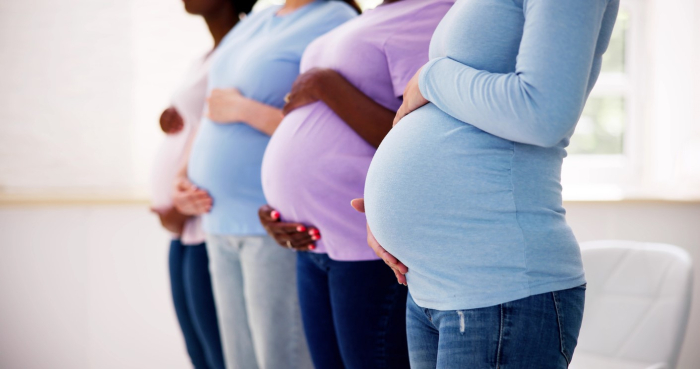 <p>A group of pregnant women in a row

