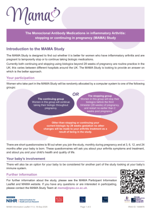 Thumbnail preview of the file.