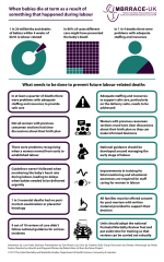 Thumbnail preview of the file.