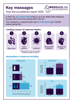 Thumbnail preview of the file.