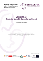 Thumbnail preview of the file.