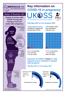 MBRRACE-UK Rapid COVID 19 DEC 2021 - Infographic. Thumbnail preview of the file.