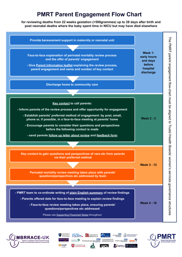Download: PMRT Parent Engagement Flow Chart. Thumbnail preview of the file.