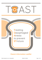 Thumbnail preview of the file.