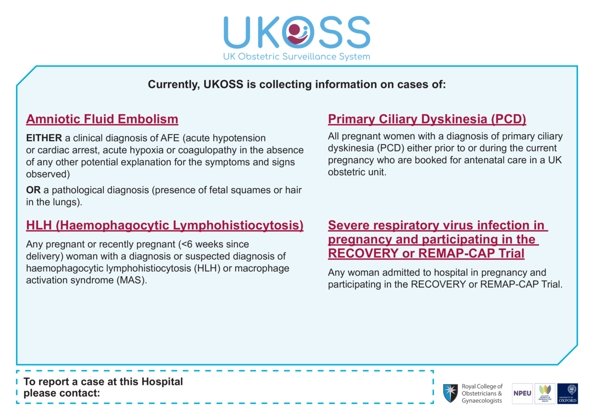 Thumbnail preview of the file.