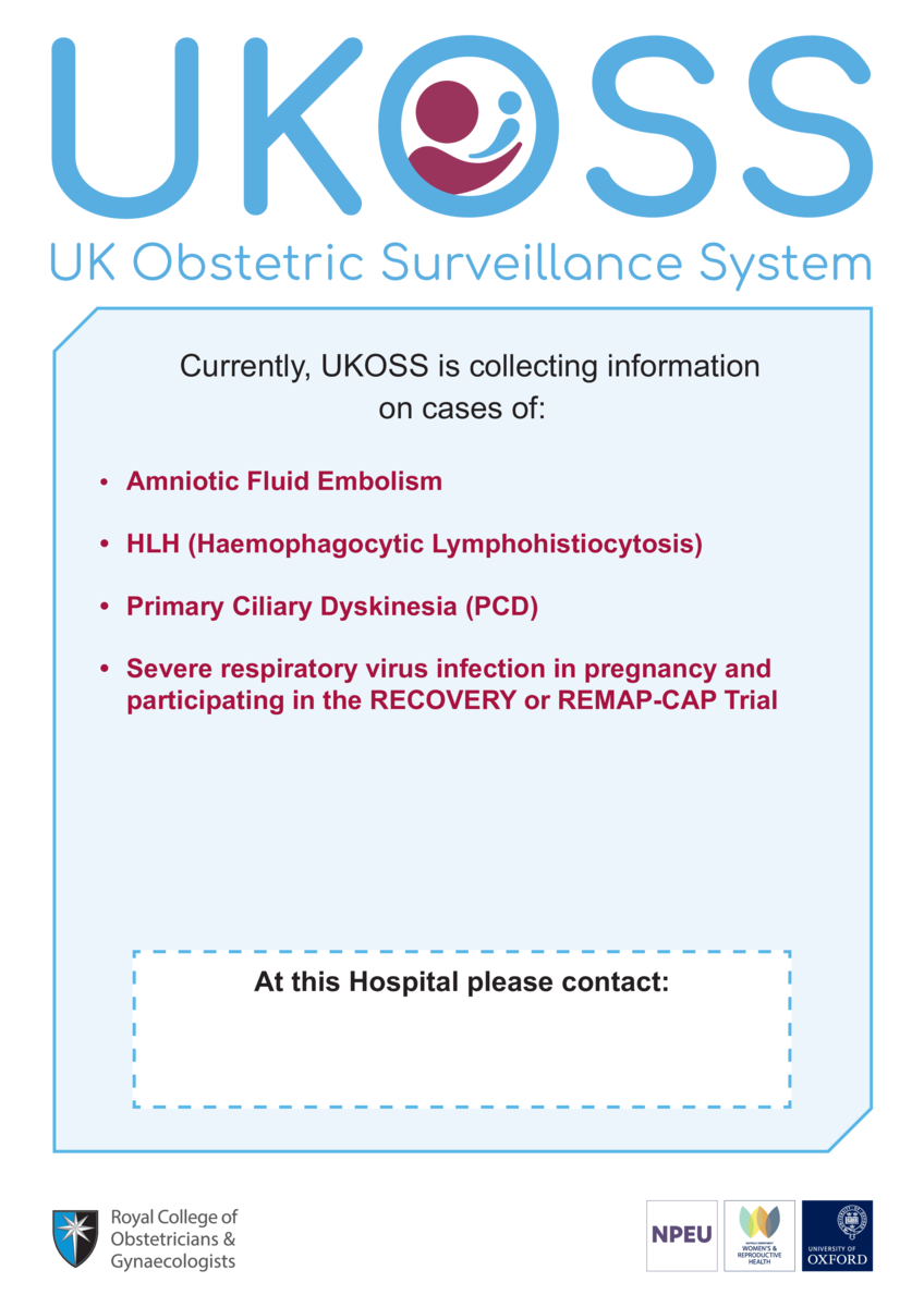 Thumbnail preview of the file.