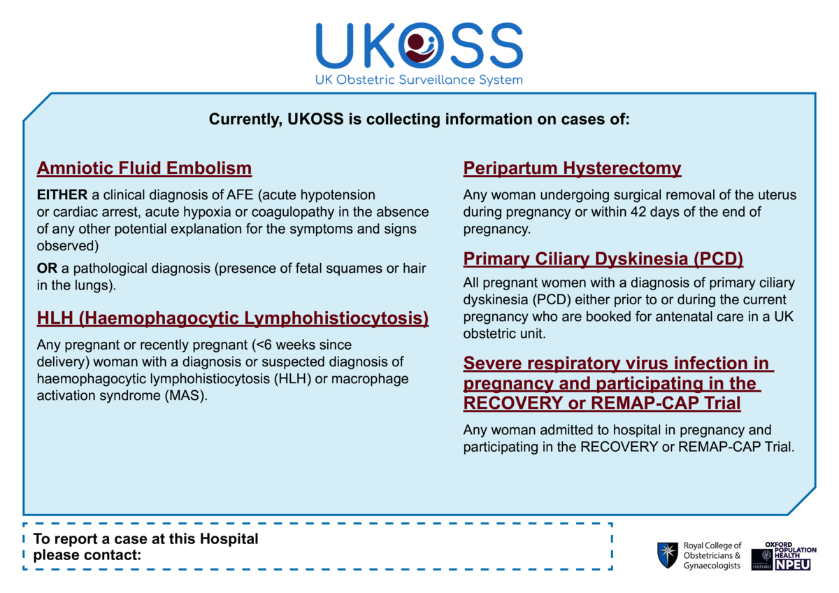 Thumbnail preview of the file.