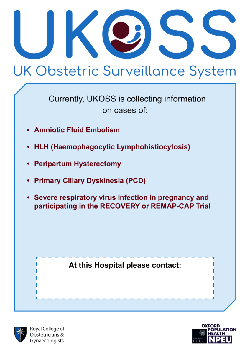 Thumbnail preview of the file.