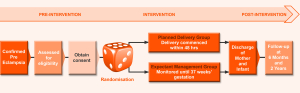 Diagram of the Phoenix trial - description below.