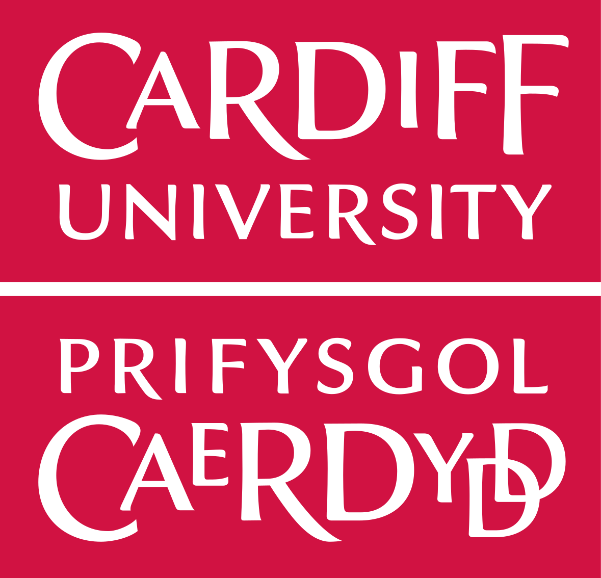 Logo: Cardiff University / Prifysgol Caerdydd