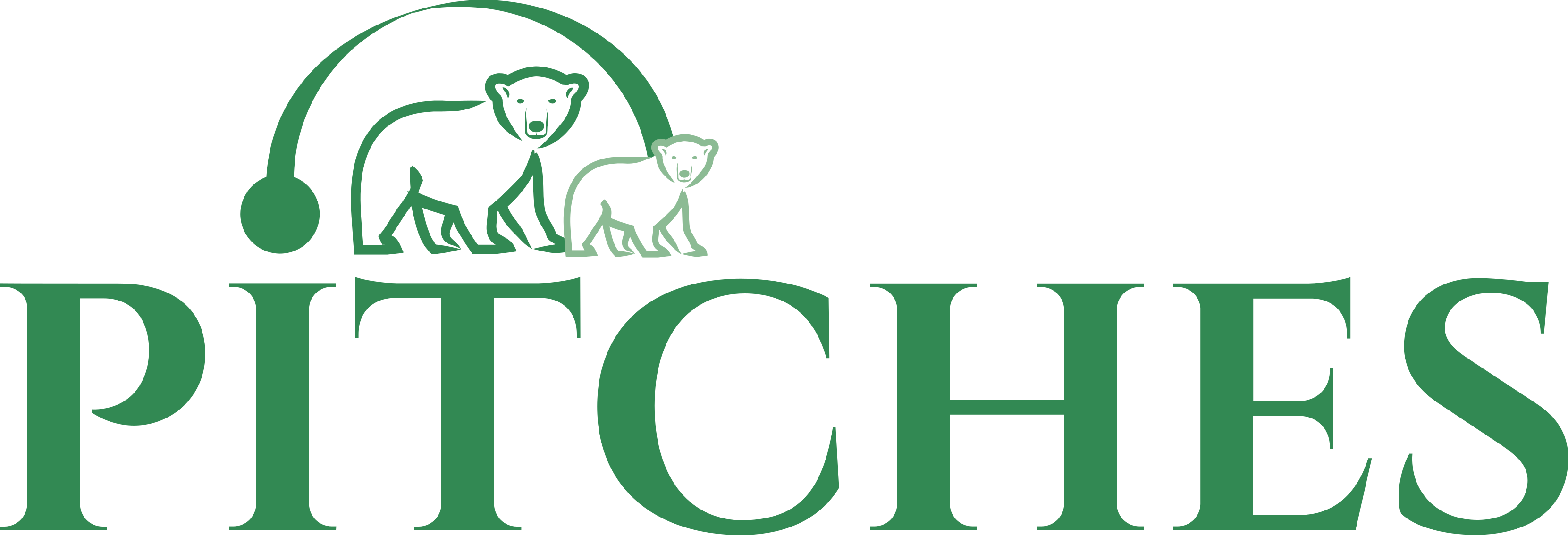 Logo: PITCHES