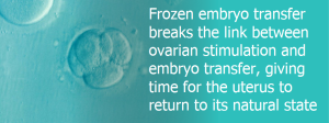 Frozen embryo transfer breaks the link between ovarian stimulation and embryo transfer, giving time for the uterus to return to its natural state