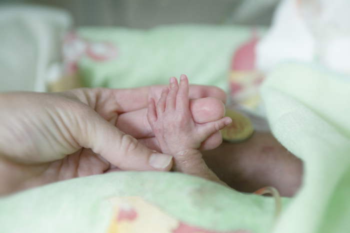 <p>Image of a mother holding her premature baby's small hand
