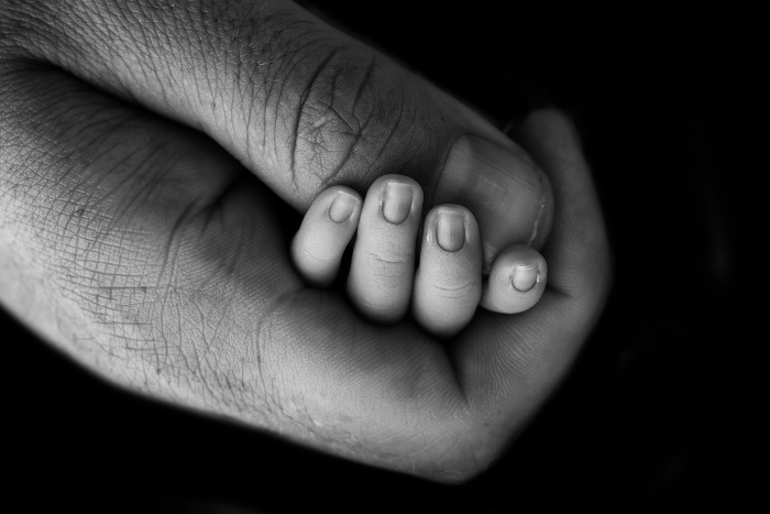 <p>Close-up of a small hand of a child in the hand of a parent. Black and white photography on a black background.
