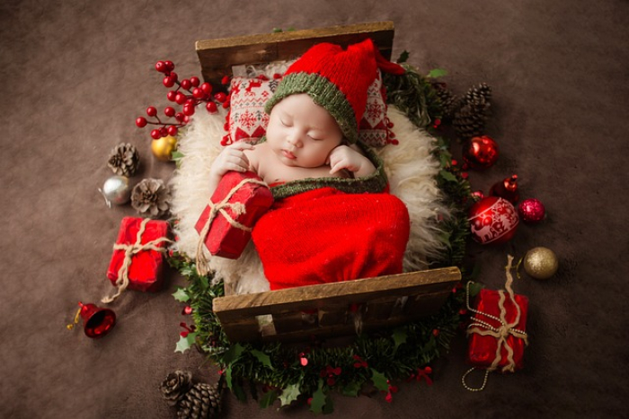 <p>Christmas Newborn
