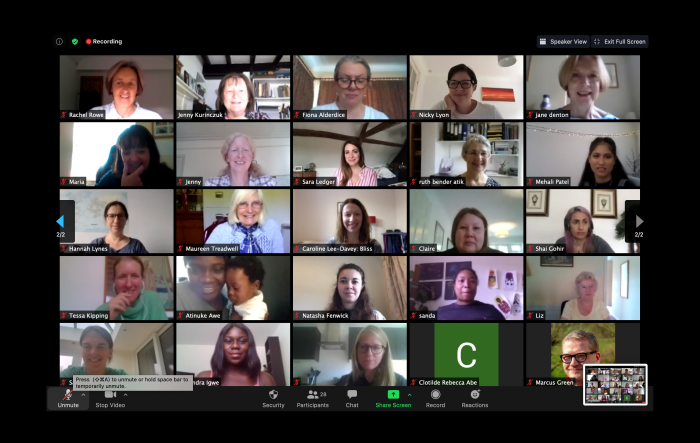 <p>Screenshot of a Public Involvement Zoom meeting of a Public showing there are 28 participants.
