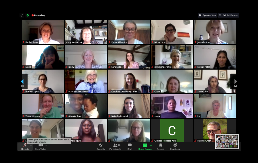 Screenshot of a Public Involvement Zoom meeting of a Public showing there are 28 participants.