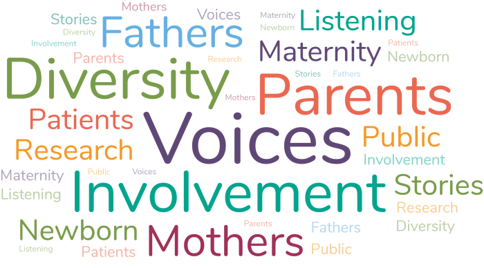 <p>Word cloud with prominent words: Voices, Diversity, Parents, Involvement, Mothers and Fathers
