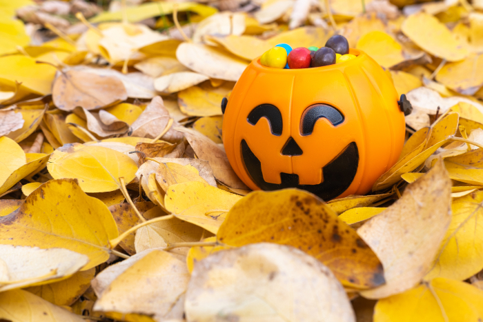 <p>Image of pumpkin bucket on a background of autumn leaves
